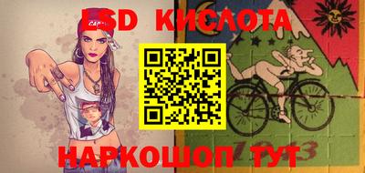 apvp Камышлов