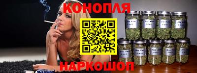 apvp Камышлов