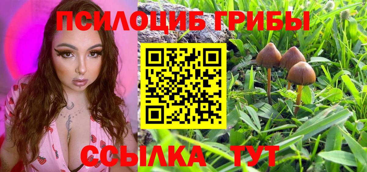 Псилоцибиновые грибы прущие грибы Елабуга
