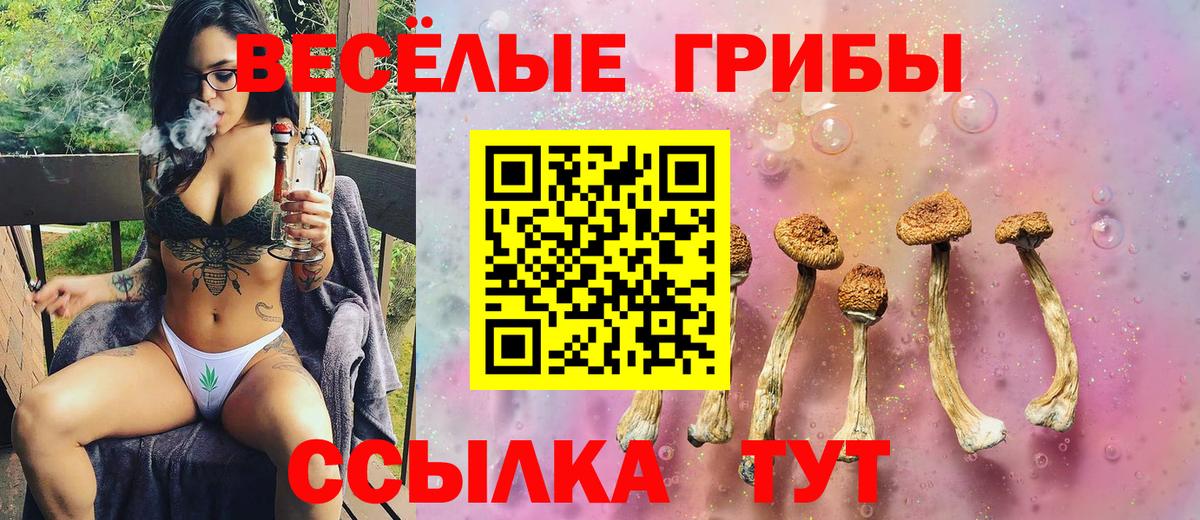 Елабуга  Галлюциногенные грибы Magic Shrooms  Вход с VPN 